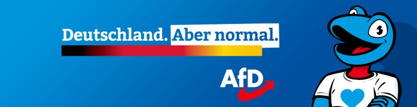 Direktkandidaten